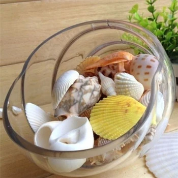 New 100g /bag Beach SeaShells Mix Sea Shells Shell Craft SeaShell Aquarium Nautical Decor
New 100g /bag Beach SeaShells Mix Sea Shells Shell Craft SeaShell Aquarium Nautical Decor