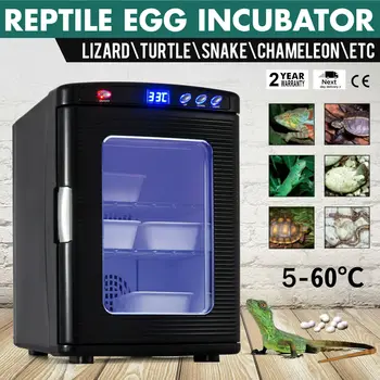 Egg Incubator 23L ReptiPro 6000 Digital Egg Incubator Scientific Lab Incubator Cooling and Heating 5-60°C
Egg Incubator 23L ReptiPro 6000 Digital Egg Incubator Scientific Lab Incubator Cooling and Heating 5-60°C