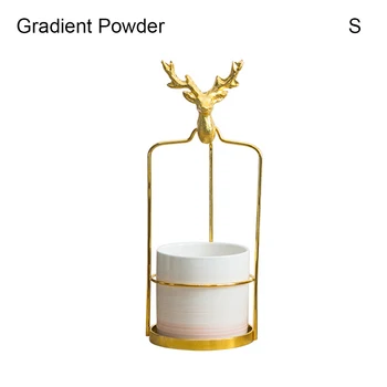 Gradient Color Succulent Flower Pot With A Rack Decorative Container For Indoor Desktop Balcony XH8Z
Gradient Color Succulent Flower Pot With A Rack Decorative Container For Indoor Desktop Balcony XH8Z