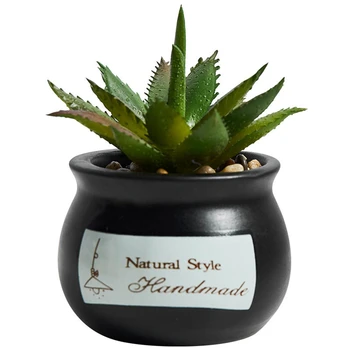 B-LIFE Artificial Succulents Bonsai Planter Mini Realistic Fake Plants with Ceramic Pots for Home and Office Decoration
B-LIFE Artificial Succulents Bonsai Planter Mini Realistic Fake Plants with Ceramic Pots for Home and Office Decoration