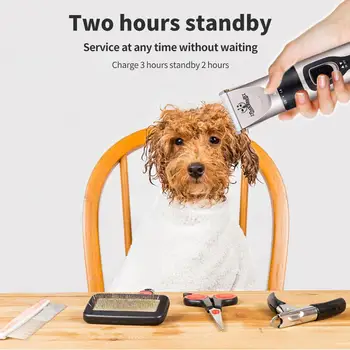 Fast Pet Shaver USB Charging Dog Cat Stainless Steel Security Pet Hair Trimmer Pets Trim White
Fast Pet Shaver USB Charging Dog Cat Stainless Steel Security Pet Hair Trimmer Pets Trim White