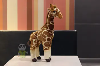 Prairie Giraffe Doll Giraffe Plush Toy African Prairie Animal Toy Gift 36cm
Prairie Giraffe Doll Giraffe Plush Toy African Prairie Animal Toy Gift 36cm