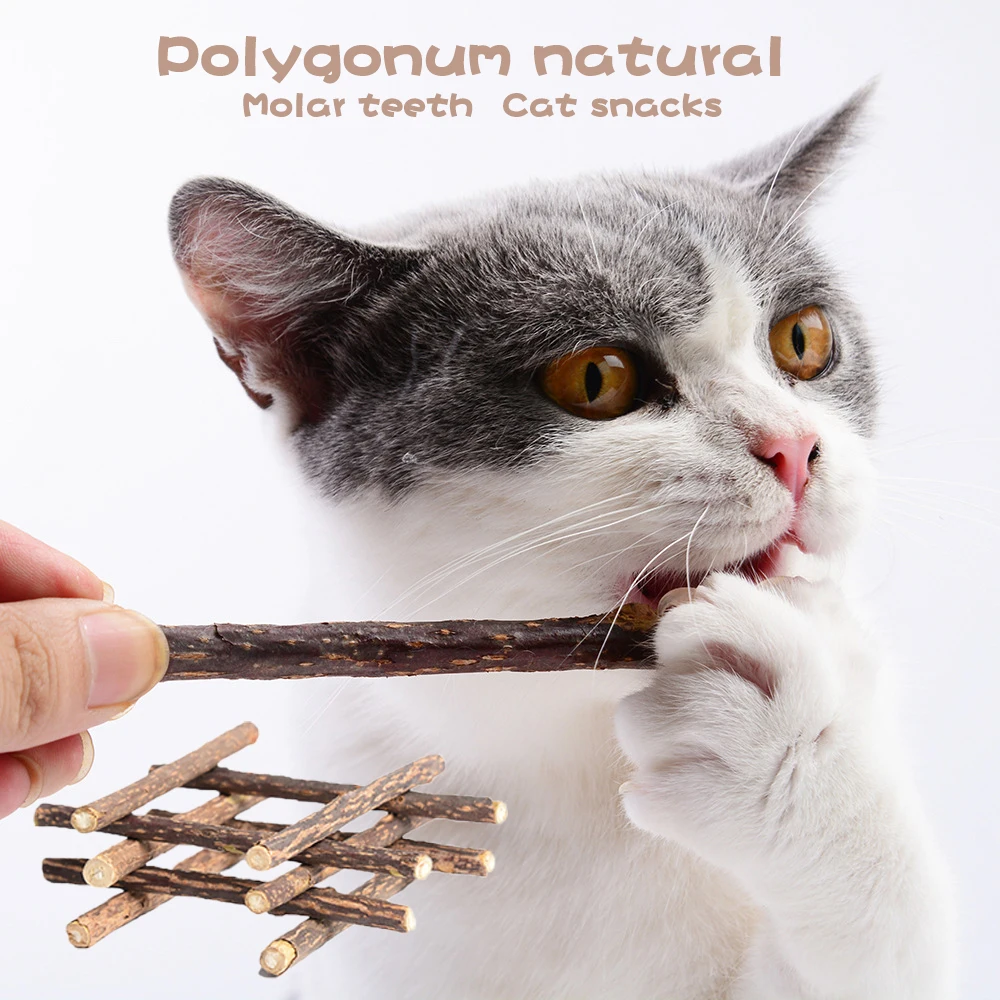 10pcs Polygonum Natural Wood Pet Catnip Toy Safety Molar Toothpaste Branch Cleaning Teeth Cat Snacks Sticks Pet Supplies Gato
10pcs Polygonum Natural Wood Pet Catnip Toy Safety Molar Toothpaste Branch Cleaning Teeth Cat Snacks Sticks Pet Supplies Gato
