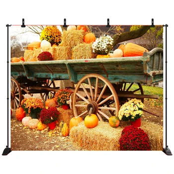 Acejoker Fall Harvast Thanksgiving Day Halloween Backdrop Pumpkin Flowers Haystack Photography Background Vinyl Photo Studio
Acejoker Fall Harvast Thanksgiving Day Halloween Backdrop Pumpkin Flowers Haystack Photography Background Vinyl Photo Studio