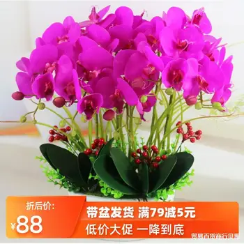 Decorations and Ornaments Model Pu Butterfly Orchid Set Potted Plant Home Ornament Living Room TV Cabinet Artificial Flower Gree
Decorations and Ornaments Model Pu Butterfly Orchid Set Potted Plant Home Ornament Living Room TV Cabinet Artificial Flower Gree