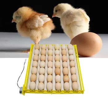 360 Degree Automatic Egg Turning Incubator Adjustable Pitch Roller Egg Tray for 42-156 Eggs Hatching Chicken Bird Quail Brooder
360 Degree Automatic Egg Turning Incubator Adjustable Pitch Roller Egg Tray for 42-156 Eggs Hatching Chicken Bird Quail Brooder