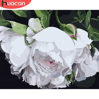 HUACAN DIY Pictures By Number Flower Kits Painting By Numbers Drawing On Canvas Hand Painted Paintings Art Gift Home Decor
HUACAN DIY Pictures By Number Flower Kits Painting By Numbers Drawing On Canvas Hand Painted Paintings Art Gift Home Decor