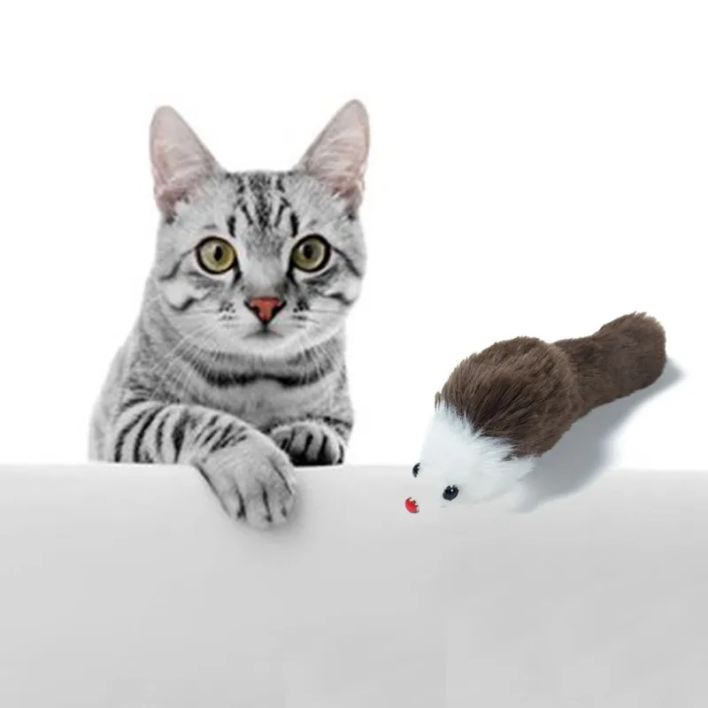 Pet Cat Plush Big Mouse Vocal Simulation Toy Cute Cat Plush Chew Toy Fur Toy Catnip Cat Cleaning Teeth Training Tool Pet Toy
Pet Cat Plush Big Mouse Vocal Simulation Toy Cute Cat Plush Chew Toy Fur Toy Catnip Cat Cleaning Teeth Training Tool Pet Toy