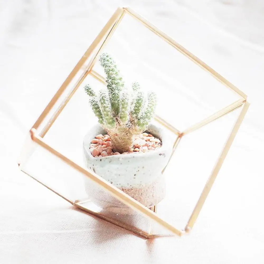 Diagonal Square Square Small Glass Transparent Succulent Flower Pot Eternal Flower Moss Micro Landscape
Diagonal Square Square Small Glass Transparent Succulent Flower Pot Eternal Flower Moss Micro Landscape