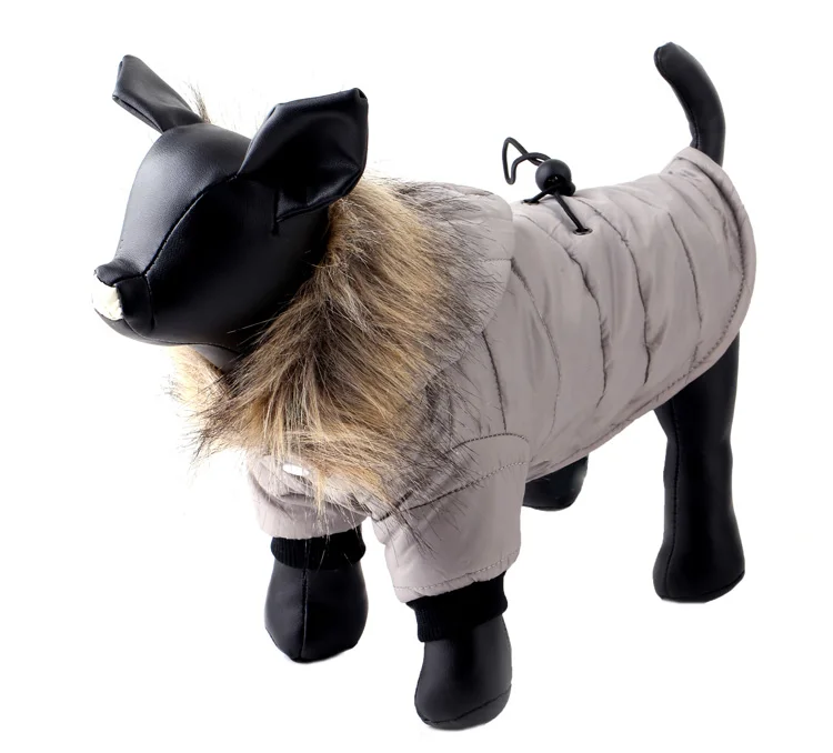 dog coat winter