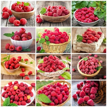 EverShine Diamond Panting Full Square Raspberry Cross Stitch Diamond Embroidery Fruit Rhinestones Art Handwork Decoration Home
EverShine Diamond Panting Full Square Raspberry Cross Stitch Diamond Embroidery Fruit Rhinestones Art Handwork Decoration Home