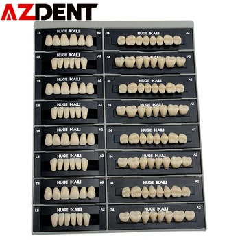 4set teeth / 1set have 28 teeth Dental Synthetic Polymer Teeth Resin Denture A2/A3
4set teeth / 1set have 28 teeth Dental Synthetic Polymer Teeth Resin Denture A2/A3