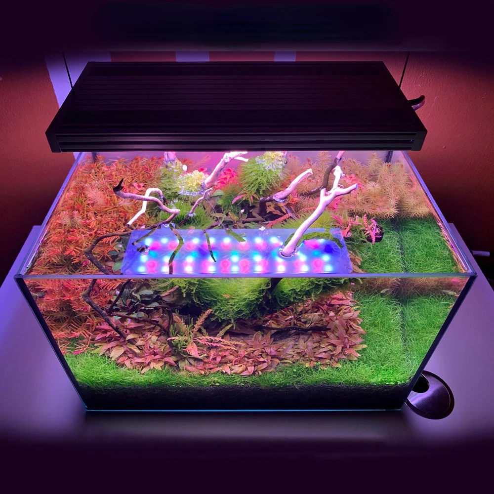 60 Aquarium Lighting Aquatic Plants Simulated Sunrise Sunset Aquarium LEDs for Water Plant Fish Tank LED Light
60 Aquarium Lighting Aquatic Plants Simulated Sunrise Sunset Aquarium LEDs for Water Plant Fish Tank LED Light