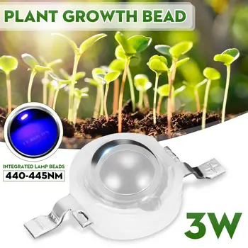 3W High Power Integration Plant Growth Light Bead 440-445nm 700mA 45mil LED Chip Bead Low Light Degradation Energy Saving
3W High Power Integration Plant Growth Light Bead 440-445nm 700mA 45mil LED Chip Bead Low Light Degradation Energy Saving