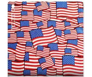 8 meters American Flag 
8 meters American Flag