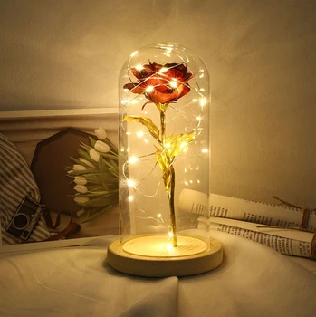 Gold Foil Flower LED Night Light Glass Dome Wooden Base Night Lamp Fairy flower lights Wedding decoration Valentine's Gifts
Gold Foil Flower LED Night Light Glass Dome Wooden Base Night Lamp Fairy flower lights Wedding decoration Valentine's Gifts