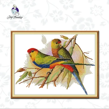 Joy Sunday,Two Parrots,cross stitch embroidery kit,Animal pattern cross stitch kit,Needlework counted cross-stitch pattern
Joy Sunday,Two Parrots,cross stitch embroidery kit,Animal pattern cross stitch kit,Needlework counted cross-stitch pattern