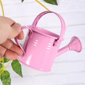 2Pcs Mini Watering Tin Simple Watering Pot Durable Iron Sprinkling Kettle Portable Can for Garden Home Plants Flower
2Pcs Mini Watering Tin Simple Watering Pot Durable Iron Sprinkling Kettle Portable Can for Garden Home Plants Flower