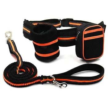 2020 Retractable Dog Leash Puppy Walking Leads with Waist Bag for Outdoor Pet Sports Running Reflective Stretch Traction Rope
2020 Retractable Dog Leash Puppy Walking Leads with Waist Bag for Outdoor Pet Sports Running Reflective Stretch Traction Rope