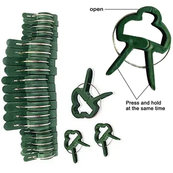 Plant Support Clips Garden Tomato Plant Support Clips For Supporting Stems Vines Grow Upright Climbing Tool For Straight 100 Pcs
Plant Support Clips Garden Tomato Plant Support Clips For Supporting Stems Vines Grow Upright Climbing Tool For Straight 100 Pcs