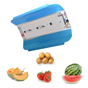 Grow box dedicated LED Grow light 50/100W COB Light reflector Indoor hydroponics Full spectrum Waterproof 220V for Seed growth
Grow box dedicated LED Grow light 50/100W COB Light reflector Indoor hydroponics Full spectrum Waterproof 220V for Seed growth