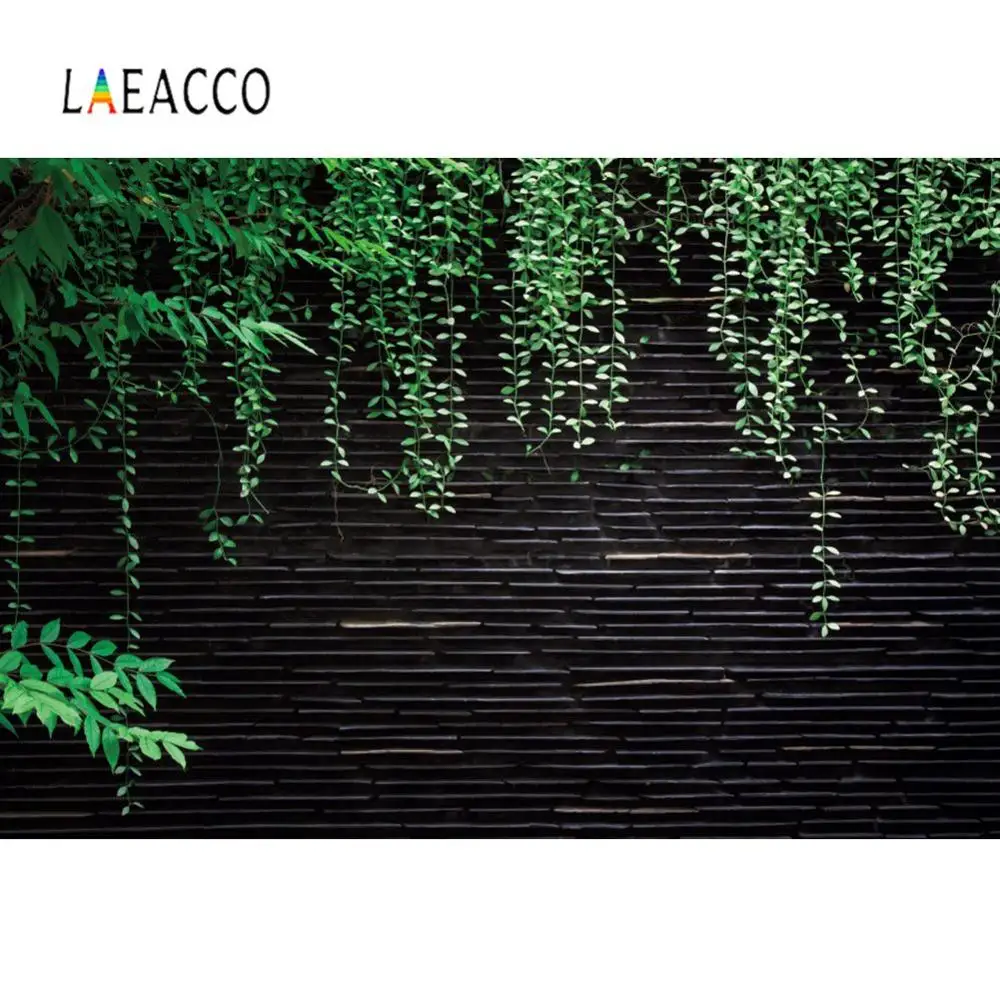 Laeacco Dark Wall Spring Vine Party Home Decor Scenic Photo Backgrounds For Photography Backdrop Photo Studio Photocall
Laeacco Dark Wall Spring Vine Party Home Decor Scenic Photo Backgrounds For Photography Backdrop Photo Studio Photocall