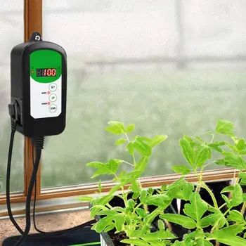EU Plug Digital Thermostat Temperature Control Sensor Regulator Terrarium Heating Outlet Brooder Thermostat Relay for Reptile
EU Plug Digital Thermostat Temperature Control Sensor Regulator Terrarium Heating Outlet Brooder Thermostat Relay for Reptile