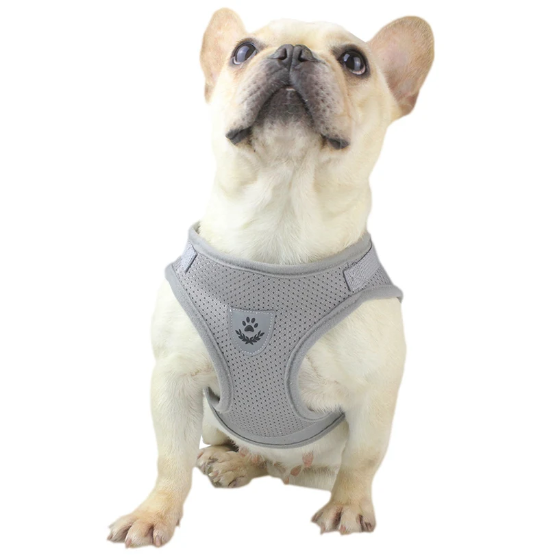 2020 New Dog Harness Vest Reflective Puppy Pet Cat Dog Leash Sets Safety Belts Nylon Mesh Adjustable Dogs Accessories
2020 New Dog Harness Vest Reflective Puppy Pet Cat Dog Leash Sets Safety Belts Nylon Mesh Adjustable Dogs Accessories