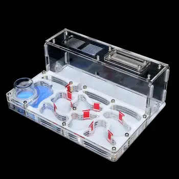 New DIY Acrylic Ant Nest Large Flat Ant Farm with Feeding Area Big Ant House for Pet Anthill with Workshop Castle 15*20*7.5cm 
New DIY Acrylic Ant Nest Large Flat Ant Farm with Feeding Area Big Ant House for Pet Anthill with Workshop Castle 15*20*7.5cm