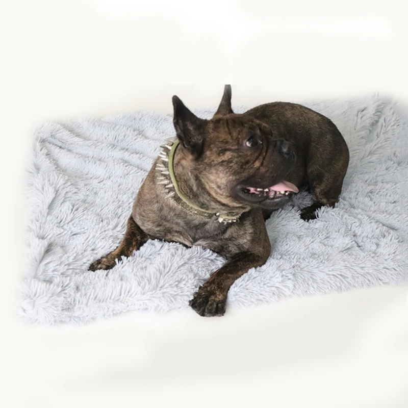 Winter Dog Bed Mat Soft Pet Cushion House Warm Puppy Cat Sleeping Bed Blanket For Small Large Dogs Cats Kennel Plush mat
Winter Dog Bed Mat Soft Pet Cushion House Warm Puppy Cat Sleeping Bed Blanket For Small Large Dogs Cats Kennel Plush mat