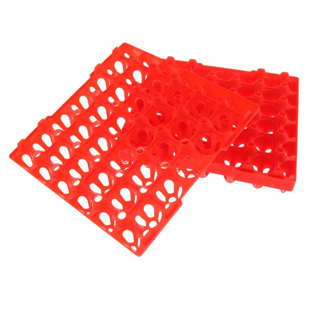 5Pcs 30-Chicken Eggs Tray For Duck Quail Bird Poultry Egg Container Holder 5Pcs 30-Chicken Eggs Tray For Duck Quail Bird Poultry Egg Container Holder