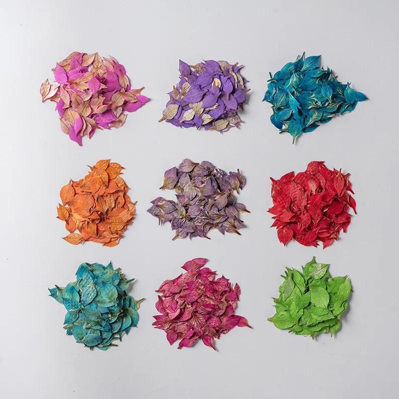 60pcs Pressed Dried Nigella damascena L Flower Petal Herbarium Epoxy Resin Jewelry Photo Frame Phone Case Bookmark Making DIY 
60pcs Pressed Dried Nigella damascena L Flower Petal Herbarium Epoxy Resin Jewelry Photo Frame Phone Case Bookmark Making DIY