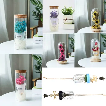 Creative Starry Glass Jar With Light Display Ornaments Led Light Show Simulation Flower Gift Micro Landscape Decoration
Creative Starry Glass Jar With Light Display Ornaments Led Light Show Simulation Flower Gift Micro Landscape Decoration