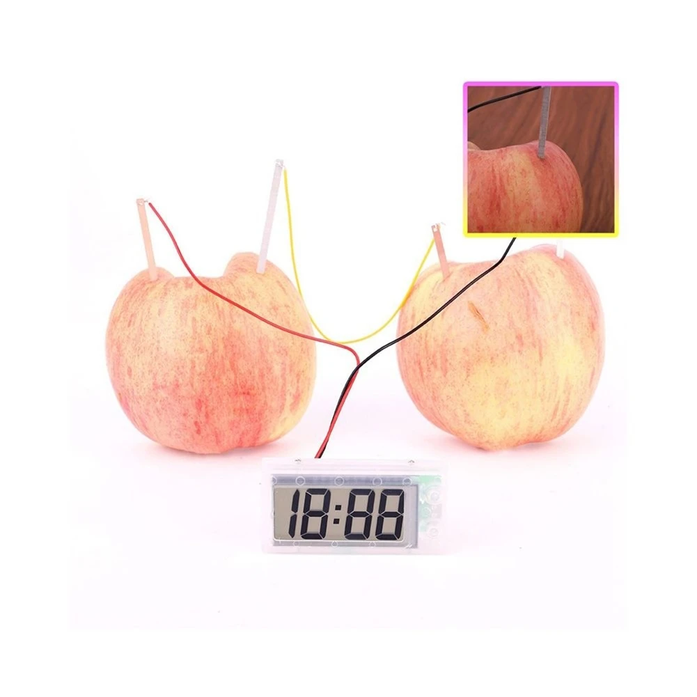Kid Creative Educational Toy Potato Clock Environmental Protection DIY Technology Small Production Physical Experiment Equipment
Kid Creative Educational Toy Potato Clock Environmental Protection DIY Technology Small Production Physical Experiment Equipment