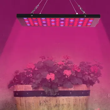 Garden Flowering Grow Light 40W LED Plants Anti-fog Growing Lamp LED Plant Grow Lights with Red Blue UV & IR Spectrum 
Garden Flowering Grow Light 40W LED Plants Anti-fog Growing Lamp LED Plant Grow Lights with Red Blue UV & IR Spectrum