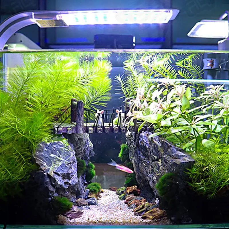 Super Bright Ultra-thin LED Fish Tank Lamp Aquarium Lighting Height Power Blue White Light Waterproof
Super Bright Ultra-thin LED Fish Tank Lamp Aquarium Lighting Height Power Blue White Light Waterproof