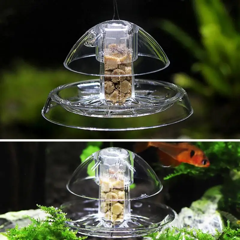 Aquarium Plastic Clear Snail Trap Catcher Fish Plant Tank Planarian Pest Catch Box Leech Environment Aquarium Clean Tool
Aquarium Plastic Clear Snail Trap Catcher Fish Plant Tank Planarian Pest Catch Box Leech Environment Aquarium Clean Tool