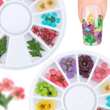 Nail Art Natural Dry Flowers Leaves For Acrylic UV Gel Polish Tips Design 3D Nail Charm DIY Floral Decoration
Nail Art Natural Dry Flowers Leaves For Acrylic UV Gel Polish Tips Design 3D Nail Charm DIY Floral Decoration
