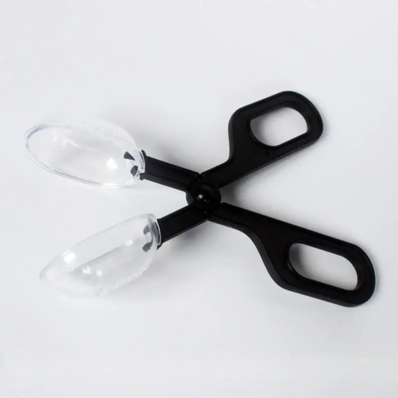 Reptile Supplies Climbing Pet Clips Feeding Reptiles Insect Breeding Worm Clips Feeding Cleaning Clips
Reptile Supplies Climbing Pet Clips Feeding Reptiles Insect Breeding Worm Clips Feeding Cleaning Clips