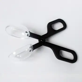 Reptile Supplies Climbing Pet Clips Feeding Reptiles Insect Breeding Worm Clips Feeding Cleaning Clips
Reptile Supplies Climbing Pet Clips Feeding Reptiles Insect Breeding Worm Clips Feeding Cleaning Clips