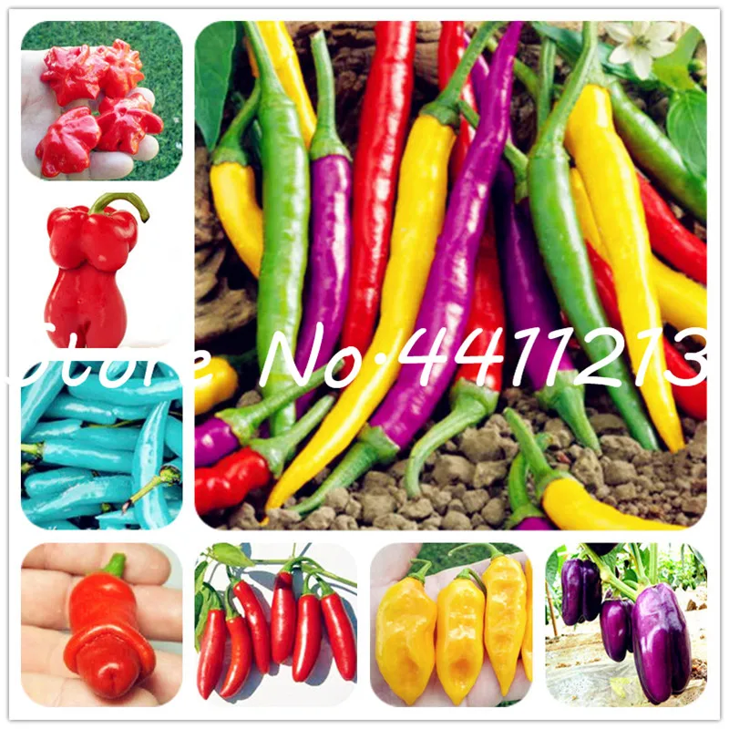 200Pcs Vegetable fruit pepper Bonsai, Giant chili plants + sweet pepper + Carolina Reaper" + hot chilli bonsai plant potted
200Pcs Vegetable fruit pepper Bonsai, Giant chili plants + sweet pepper + Carolina Reaper" + hot chilli bonsai plant potted