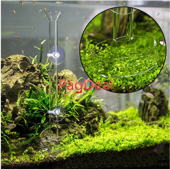 Aquarium Crystal Shrimp Feeding Tube Pipe Fish Tank Aquatic Dish Snail Fish Food Feeder Set Free Shipping
Aquarium Crystal Shrimp Feeding Tube Pipe Fish Tank Aquatic Dish Snail Fish Food Feeder Set Free Shipping