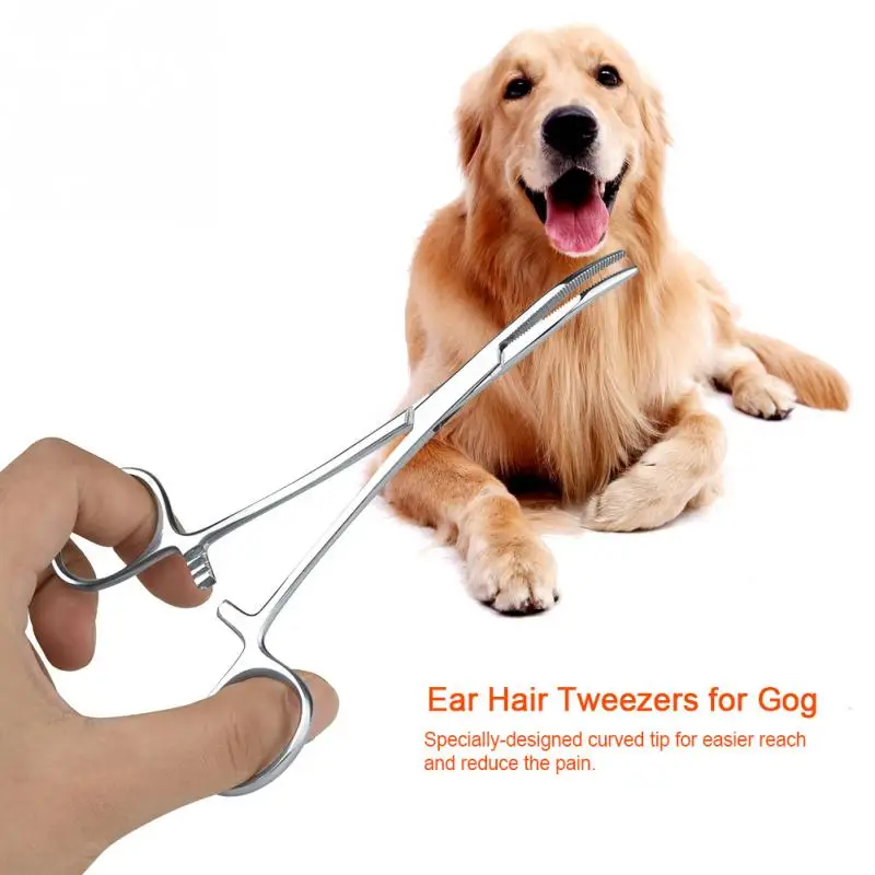 1Pcs Curved Tip Cleaning Clamp For Cat Dog Stainless Steel Pliers Pets Ear Hair Tweezers scissors Hand Tools Hair Clipper Hot
1Pcs Curved Tip Cleaning Clamp For Cat Dog Stainless Steel Pliers Pets Ear Hair Tweezers scissors Hand Tools Hair Clipper Hot