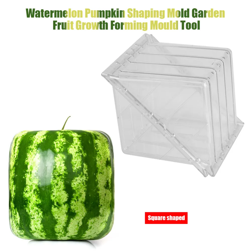 Square/Heart-shaped Watermelon Pumpkin Shaping Mold Garden Fruit Growth Forming Mould Tool Garden Shaping Mold
Square/Heart-shaped Watermelon Pumpkin Shaping Mold Garden Fruit Growth Forming Mould Tool Garden Shaping Mold