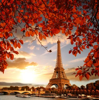 LIFE MAGIC BOX Paris Fall Backgrounds for Photography Red Leaf Tower Vinyl Backdrop Canvas Photography
LIFE MAGIC BOX Paris Fall Backgrounds for Photography Red Leaf Tower Vinyl Backdrop Canvas Photography