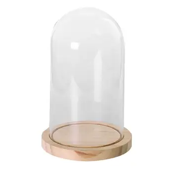 LBER Transparent glass bell glass suction glass jars with wooden floor for flowers plants birth gift Display Dome Wooden Base
LBER Transparent glass bell glass suction glass jars with wooden floor for flowers plants birth gift Display Dome Wooden Base