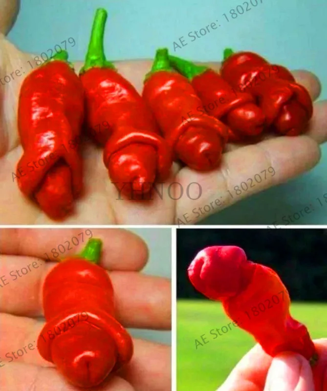Lowest Price!100% Genuine Fresh Rare Red "Carolina Reaper" Pepper Bonsai (hot chilli ) Organic Vegetable Plants -200 Pieces Fre
Lowest Price!100% Genuine Fresh Rare Red "Carolina Reaper" Pepper Bonsai (hot chilli ) Organic Vegetable Plants -200 Pieces Fre