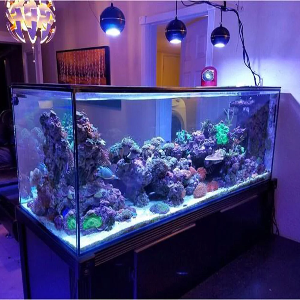 2019 New arrival LED Aquarium Light Full Spectrum Wireless Control smartphone APP for marine Coral Reef SPS LPS Nano Tanks
2019 New arrival LED Aquarium Light Full Spectrum Wireless Control smartphone APP for marine Coral Reef SPS LPS Nano Tanks