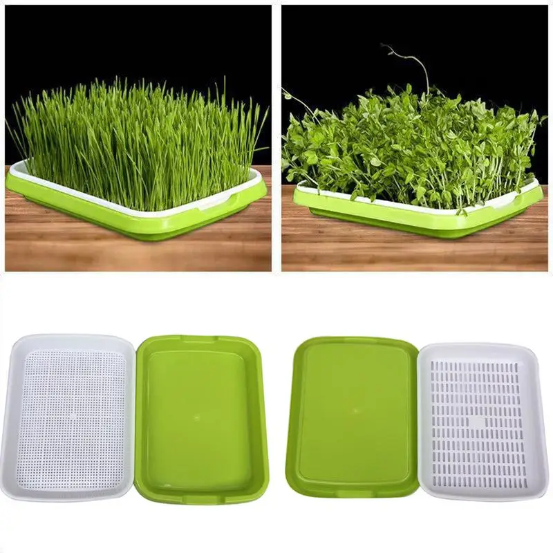 Seedling Hydroponics Nursery Tray Wheat Grass Implant Tray Double-layer Soilless Culture Bean Dish Seedling Tray-Color Random
Seedling Hydroponics Nursery Tray Wheat Grass Implant Tray Double-layer Soilless Culture Bean Dish Seedling Tray-Color Random