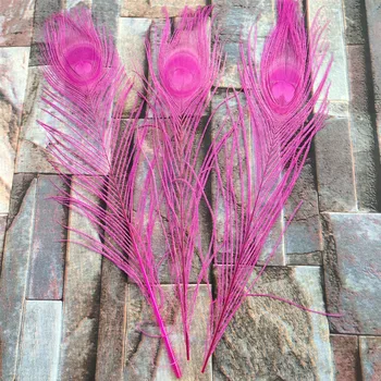 Wholesale 100 PCS beautiful rose 25-30 cm/10-12 inches high quantity peacock feathers all sorts of adornment
Wholesale 100 PCS beautiful rose 25-30 cm/10-12 inches high quantity peacock feathers all sorts of adornment